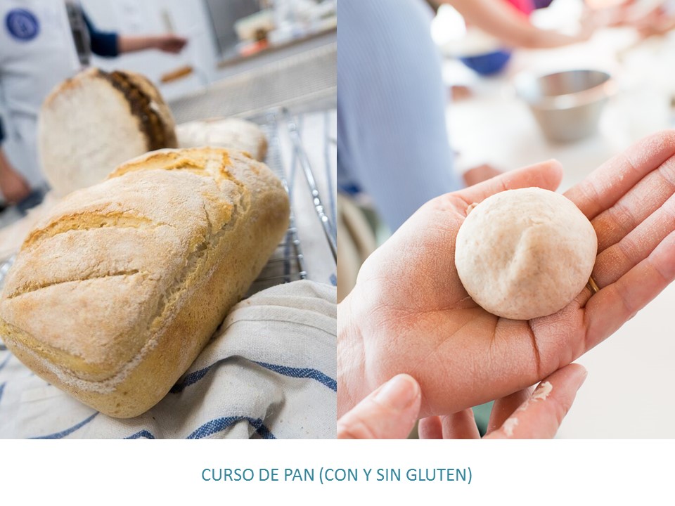 PORTADA CURSO DE PAN CON Y SIN GLUTEN