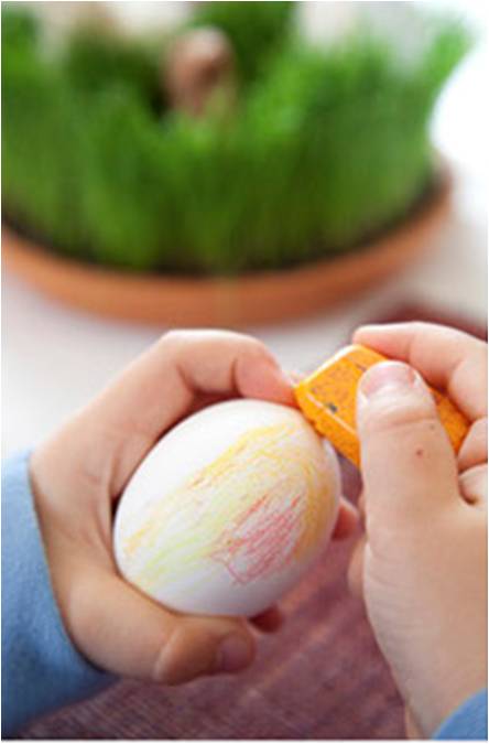 The Home Academy Niños Pascua